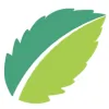 Mint Dental of Franklin