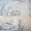 Fibonacci Smile