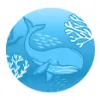 Chelsea Pediatric Dentistry & Orthodontics