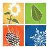 Four Seasons Dental