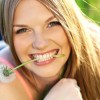 Wood Dental Group