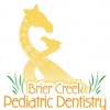 Brier Creek Pediatric Dentistry